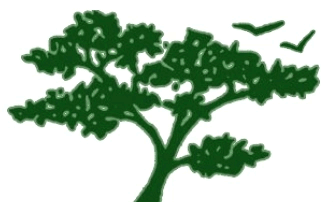 birds Clinical Aesthetics